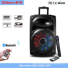 10 Inch Wireles HiFi Bluetooth Speaker Stereo Speaker